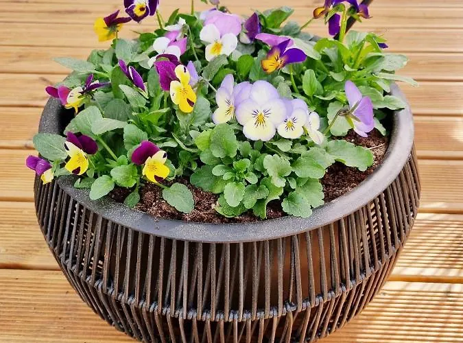 Supeluse 7-1 Guest By Annalie Apartment Parnu